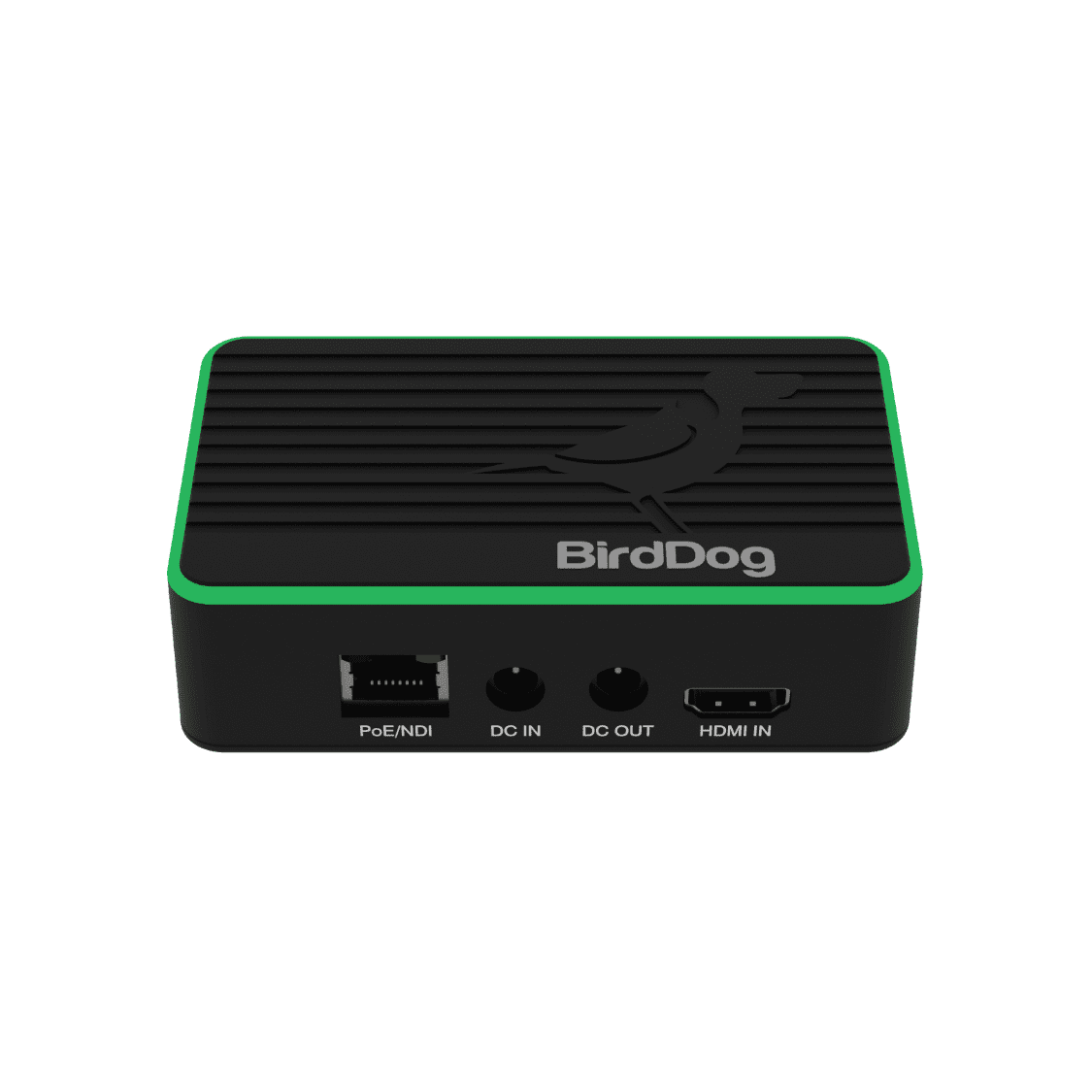 BirdDog Flex 4K IN Encoder