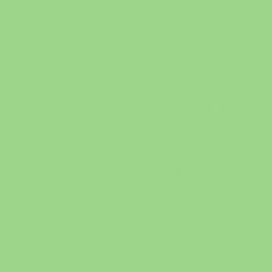 BD 174A1 Paper Background Spring Green 2.72 x 11m-313917