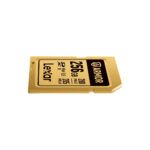 LEXAR SDXC PRO GOLD SERIES ARMOR UHS-II 256GB V60