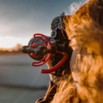 RODE VideoMicro NTG - Image 6