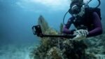 GoPro HERO13 Black - Image 4